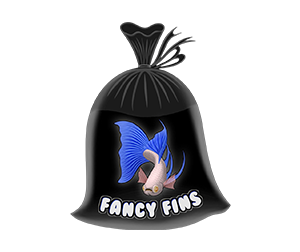 Fancy Fins